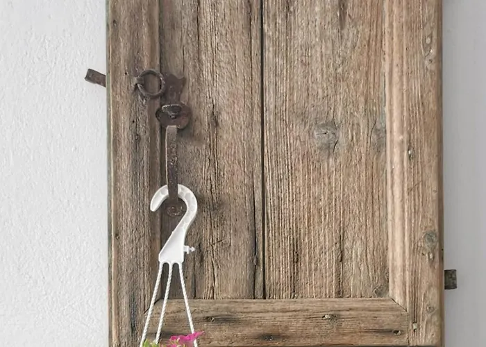 酒店 新哈罗拉酒店 费拉