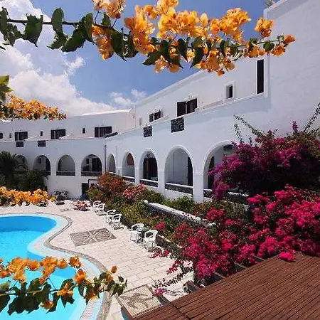 ニュー ハロウラ